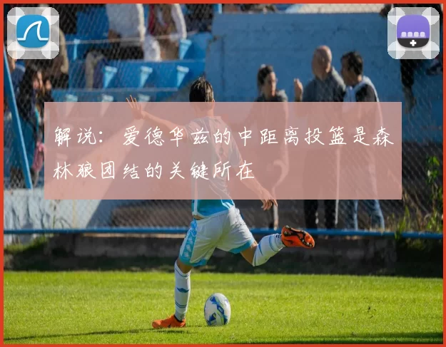 解说：爱德华兹的中距离投篮是森林狼团结的关键所在